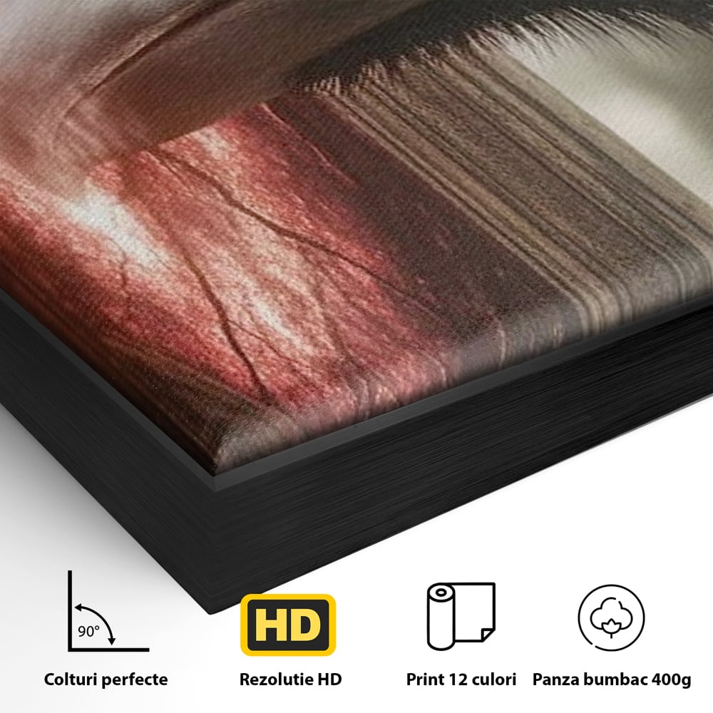 Tablou Canvas Premium, LuxCanva® M1084, Fereastra dintre Lumi, Corb, Privire, Ochi, Viziune, Portal, Magie, Secret, Revelatie, Mister, Pasare, Fereastra, Birou, Living, Camera Copil