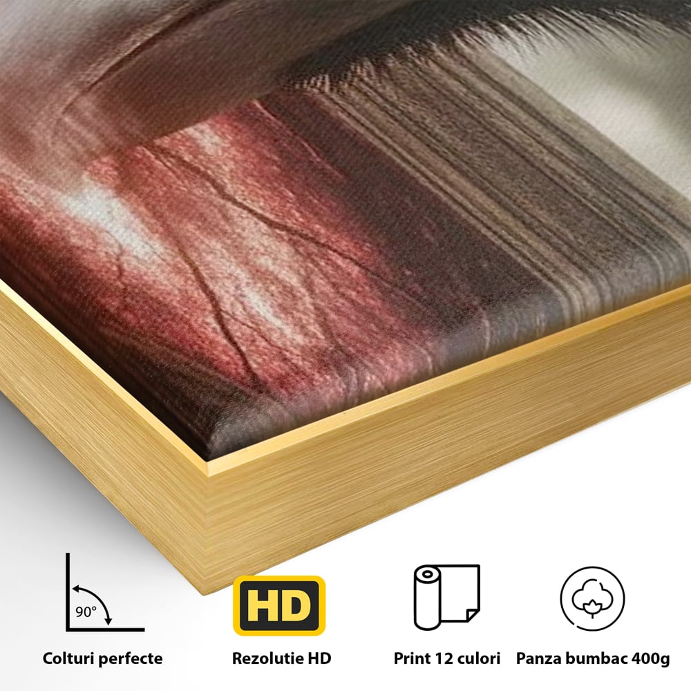 Tablou Canvas Premium, LuxCanva® M1084, Fereastra dintre Lumi, Corb, Privire, Ochi, Viziune, Portal, Magie, Secret, Revelatie, Mister, Pasare, Fereastra, Birou, Living, Camera Copil
