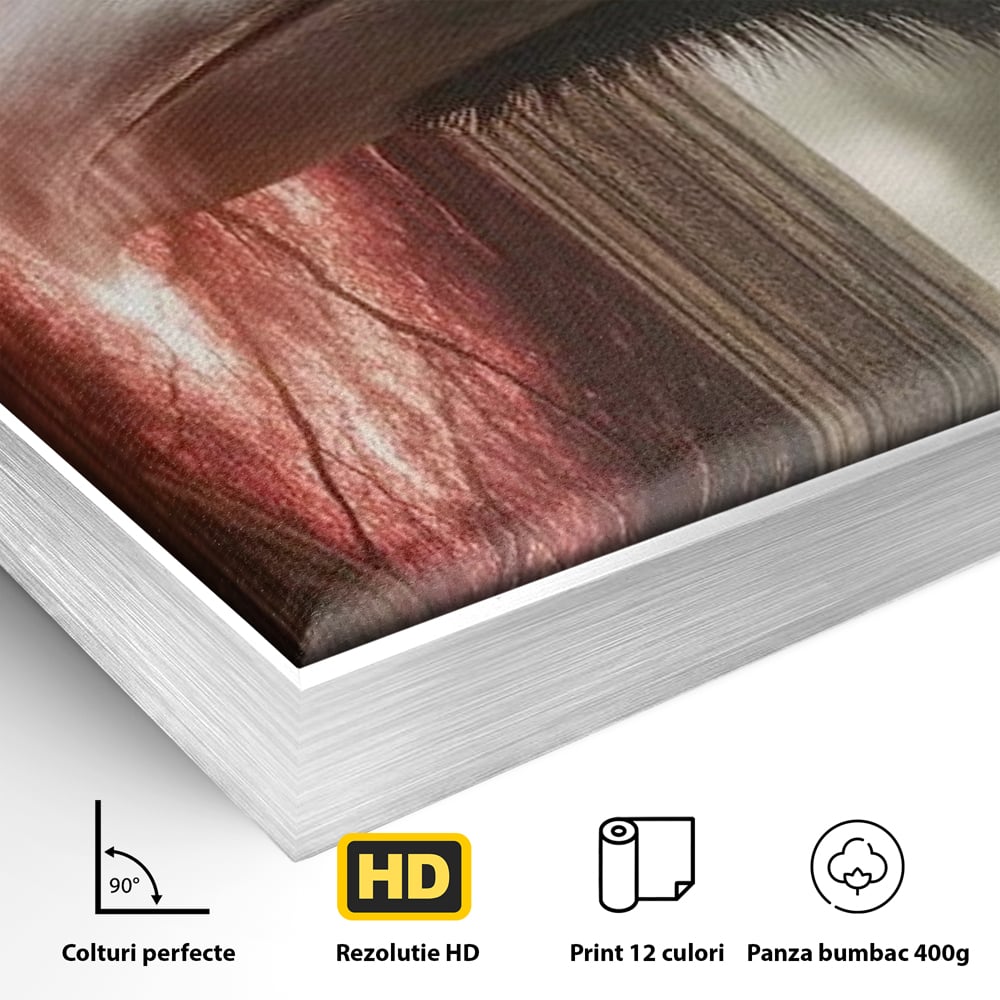 Tablou Canvas Premium, LuxCanva® M1084, Fereastra dintre Lumi, Corb, Privire, Ochi, Viziune, Portal, Magie, Secret, Revelatie, Mister, Pasare, Fereastra, Birou, Living, Camera Copil