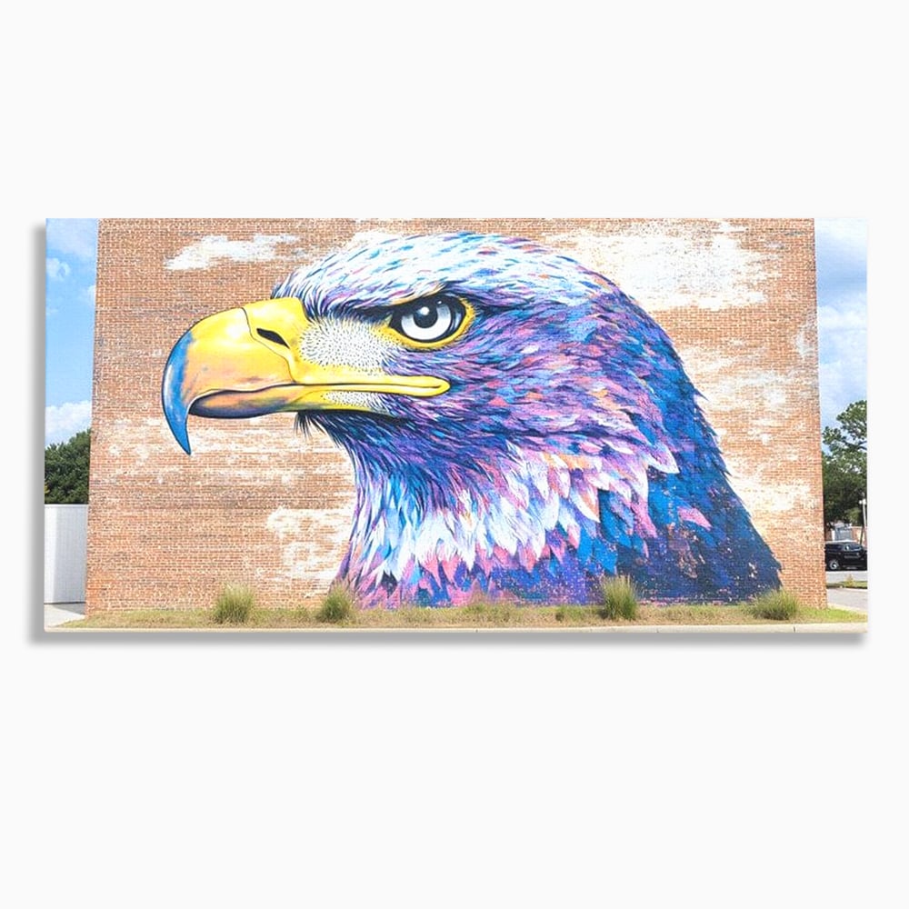 Tablou Canvas Premium, LuxCanva® M1088, Regele Cartierului, Uliu, Pasare, Zid, Caramida, Street Art, Oras, Cartier, Graffiti, Urban, Rebel, Culori Vibrante, Birou, Living, Camera Copil