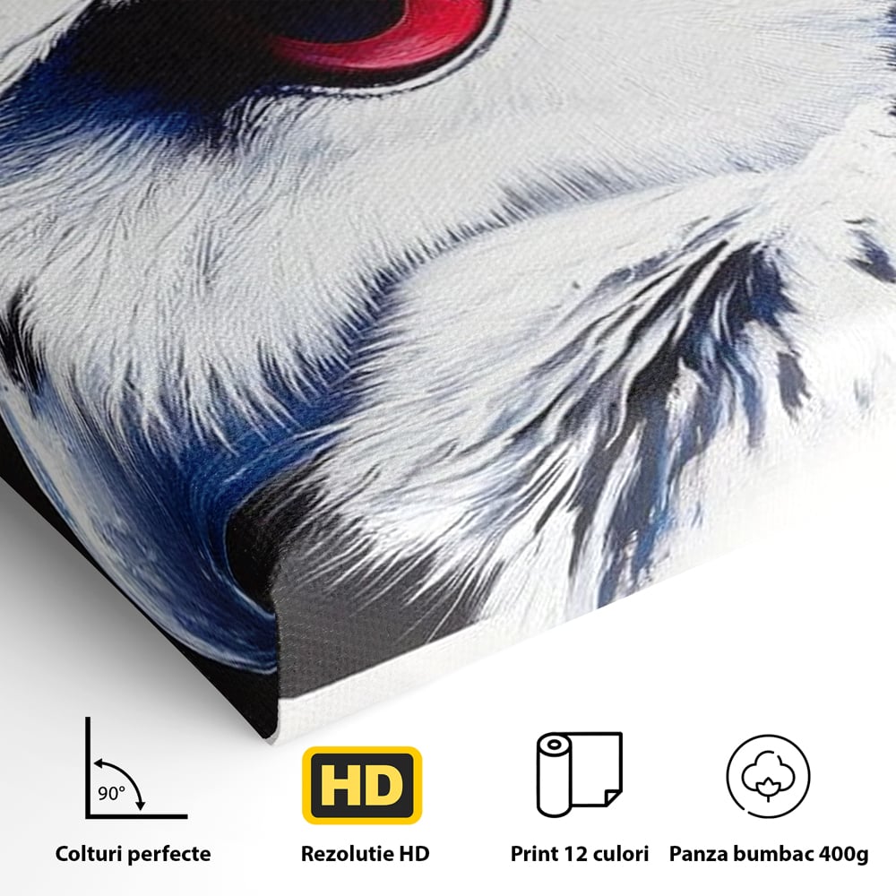 Leinwandbilder Premium, LuxCanva® M1091, Feuer in der Nacht Iris, Augen, Iris, Blick, Rot, Geheimnis, Weisheit, Textur, Tinte, Eule, Vogel, Portrait, Büro, Wohnen, Kinderzimmer