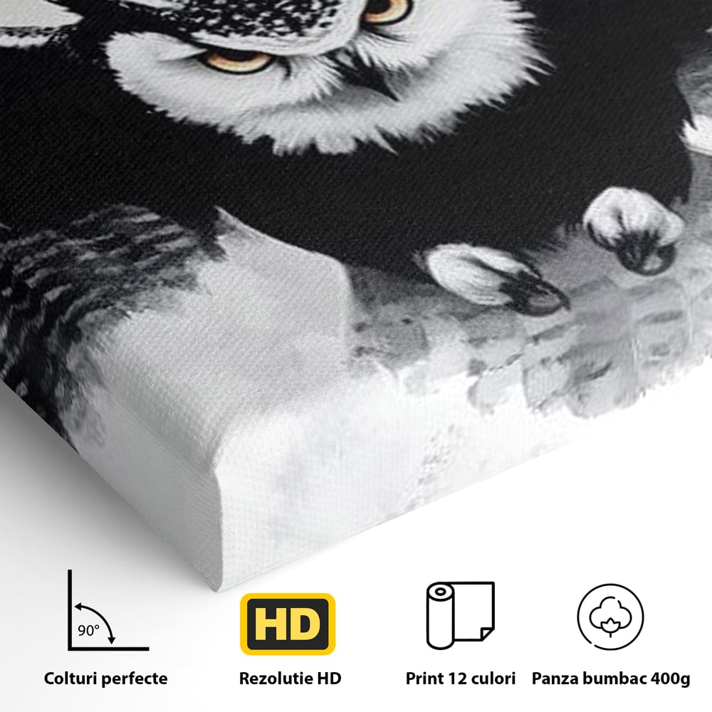 Leinwand Wandkunst Canvas Wall Art Premium, LuxCanva® M1092, Nachtrichter, Schwarz und Weiß, Flug, Flügel, Vogel, Krallen, Klauen, Eule, Kraft, Motivation, Schatten, Blick, Büro, Wohnen, Kinderzimmer