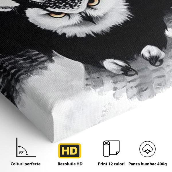 Leinwand Wandkunst Canvas Wall Art Premium, LuxCanva® M1092, Nachtrichter, Schwarz und Weiß, Flug, Flügel, Vogel, Krallen, Klauen, Eule, Kraft, Motivation, Schatten, Blick, Büro, Wohnen, Kinderzimmer