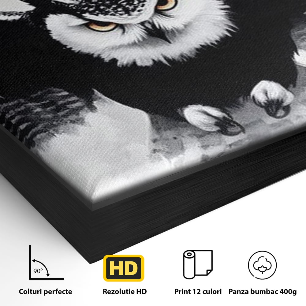 Leinwand Wandkunst Canvas Wall Art Premium, LuxCanva® M1092, Nachtrichter, Schwarz und Weiß, Flug, Flügel, Vogel, Krallen, Klauen, Eule, Kraft, Motivation, Schatten, Blick, Büro, Wohnen, Kinderzimmer