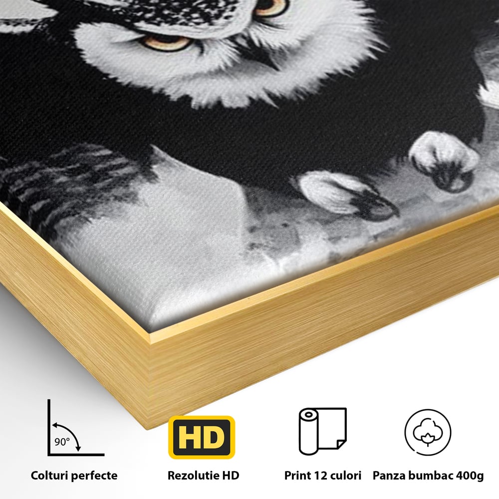 Leinwand Wandkunst Canvas Wall Art Premium, LuxCanva® M1092, Nachtrichter, Schwarz und Weiß, Flug, Flügel, Vogel, Krallen, Klauen, Eule, Kraft, Motivation, Schatten, Blick, Büro, Wohnen, Kinderzimmer