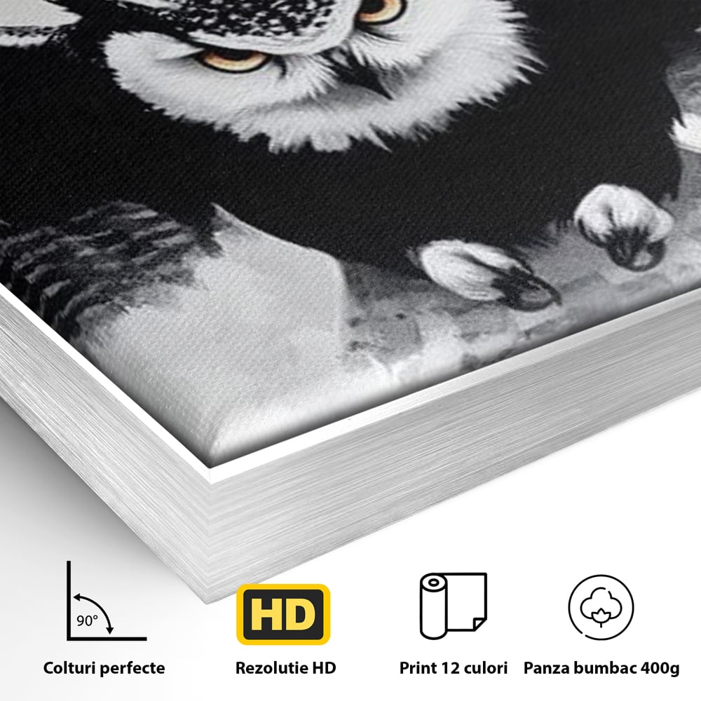 Leinwand Wandkunst Canvas Wall Art Premium, LuxCanva® M1092, Nachtrichter, Schwarz und Weiß, Flug, Flügel, Vogel, Krallen, Klauen, Eule, Kraft, Motivation, Schatten, Blick, Büro, Wohnen, Kinderzimmer