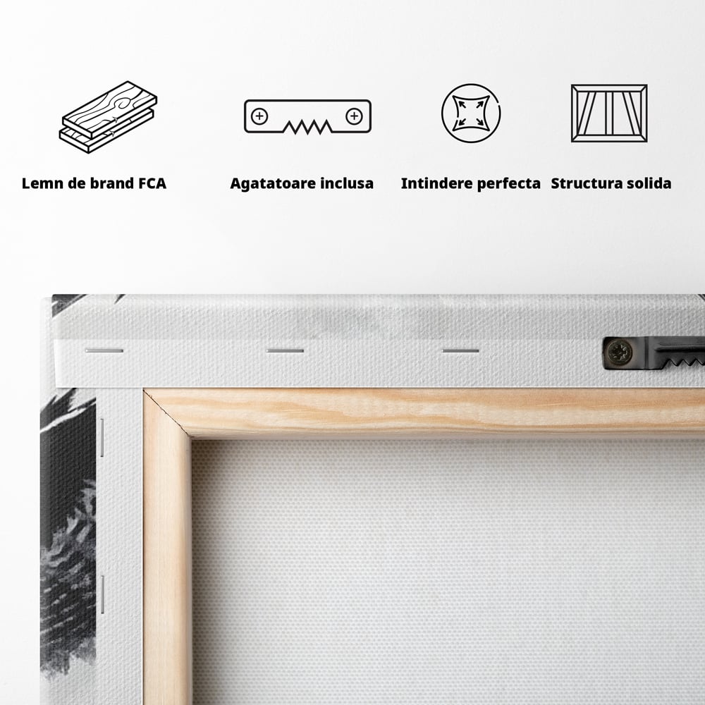 Leinwand Wandkunst Canvas Wall Art Premium, LuxCanva® M1092, Nachtrichter, Schwarz und Weiß, Flug, Flügel, Vogel, Krallen, Klauen, Eule, Kraft, Motivation, Schatten, Blick, Büro, Wohnen, Kinderzimmer