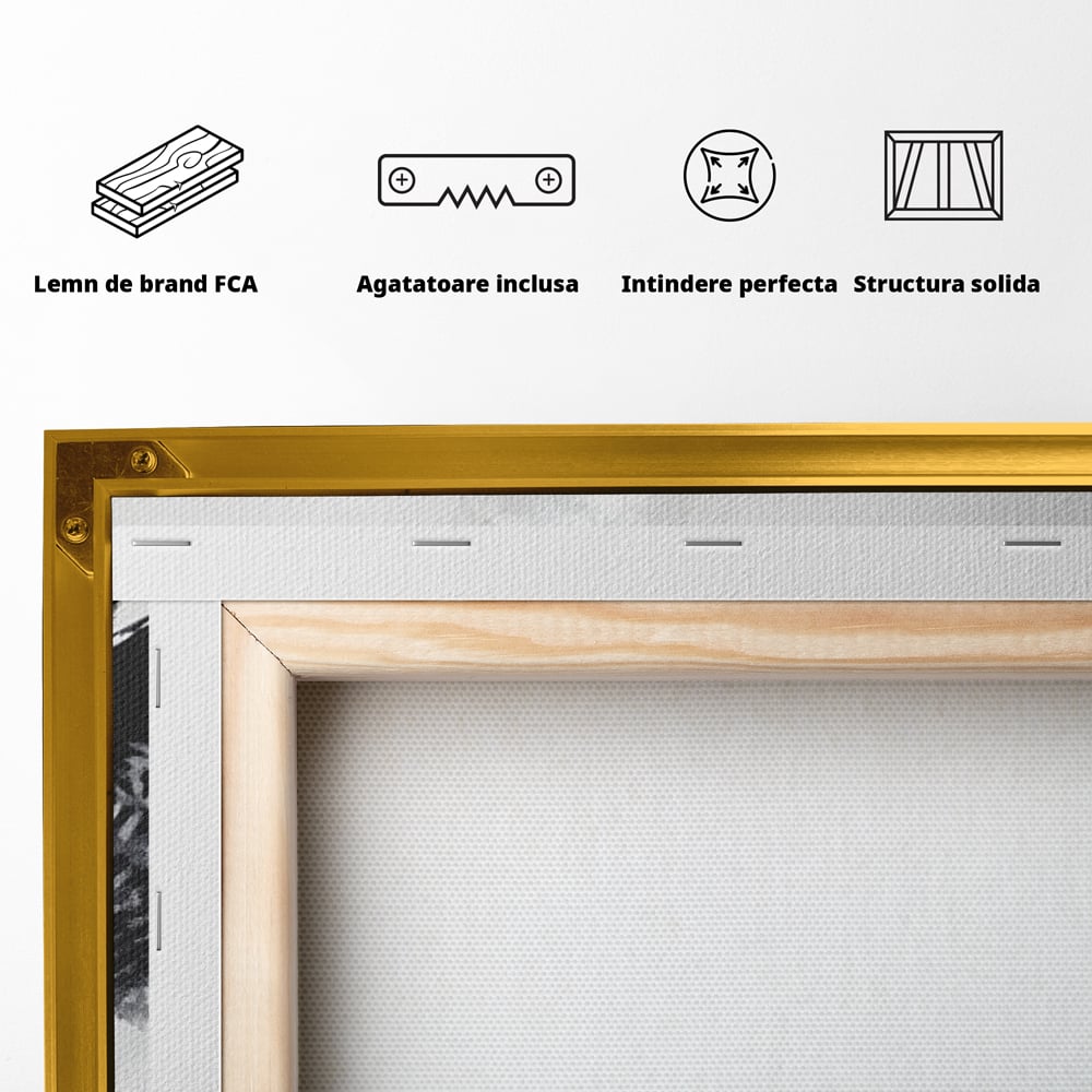 Leinwand Wandkunst Canvas Wall Art Premium, LuxCanva® M1092, Nachtrichter, Schwarz und Weiß, Flug, Flügel, Vogel, Krallen, Klauen, Eule, Kraft, Motivation, Schatten, Blick, Büro, Wohnen, Kinderzimmer