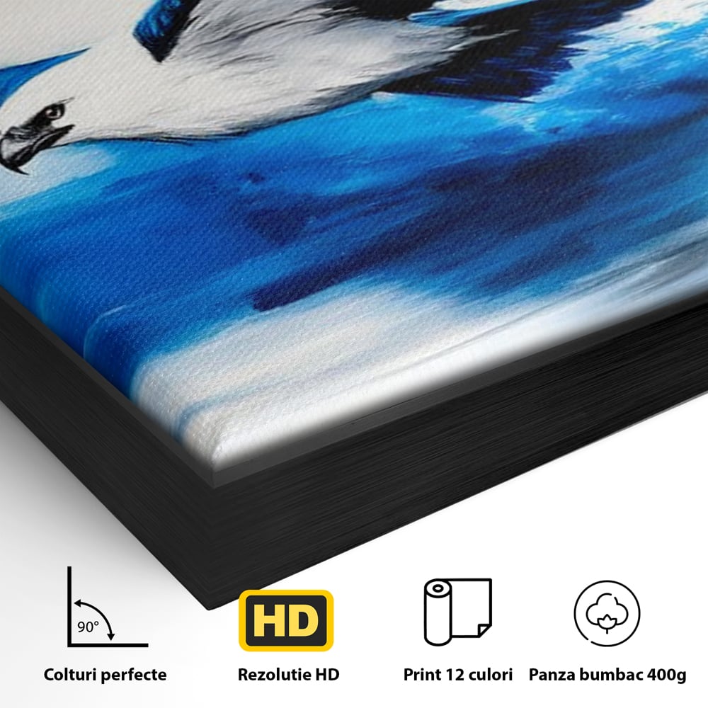 Tablou Canvas Premium, LuxCanva® M1096, Aripile Oceanului, Ocean, Apa, Vultur, Pasare, Zbor, Rece, Impact, Cobalt, Azur, Directie, Control, Pictura, Birou, Living, Camera Copil