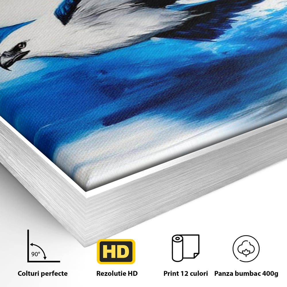 Tablou Canvas Premium, LuxCanva® M1096, Aripile Oceanului, Ocean, Apa, Vultur, Pasare, Zbor, Rece, Impact, Cobalt, Azur, Directie, Control, Pictura, Birou, Living, Camera Copil