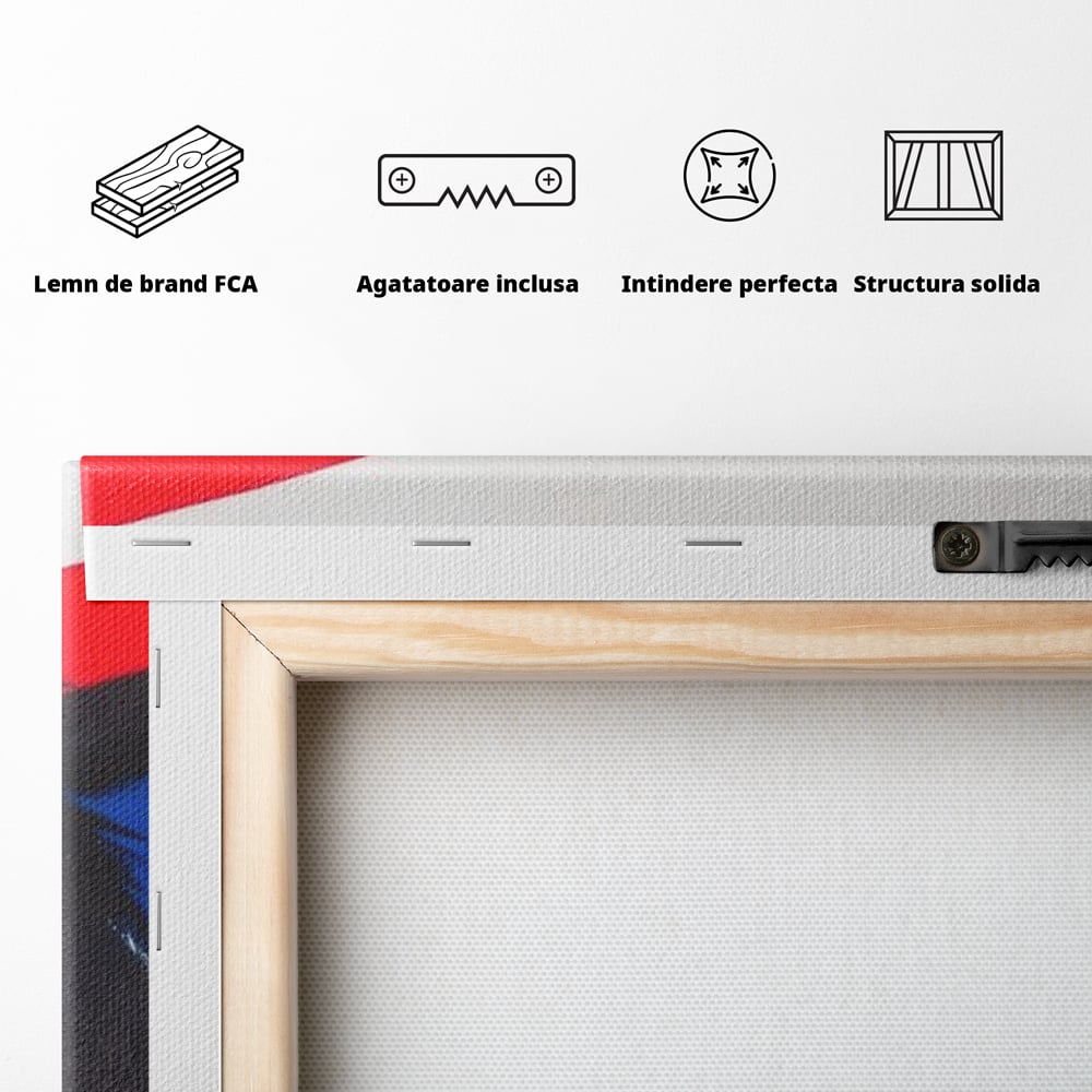 Tablou Canvas Premium, LuxCanva® M1098, Instinct Rosu, Vultur, Zbor, Ochi, Grafic, Modern, Privire, Linie, Design, Curaj, Intens, Contrast, Pasare, Birou, Living, Camera Copil