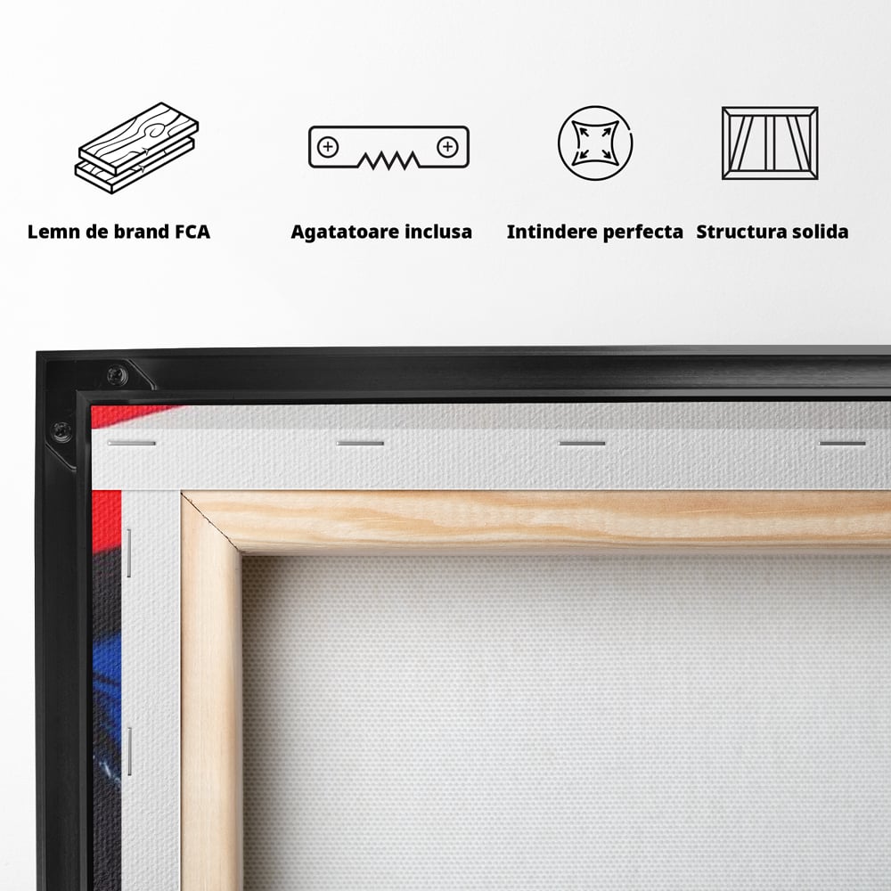 Tablou Canvas Premium, LuxCanva® M1098, Instinct Rosu, Vultur, Zbor, Ochi, Grafic, Modern, Privire, Linie, Design, Curaj, Intens, Contrast, Pasare, Birou, Living, Camera Copil
