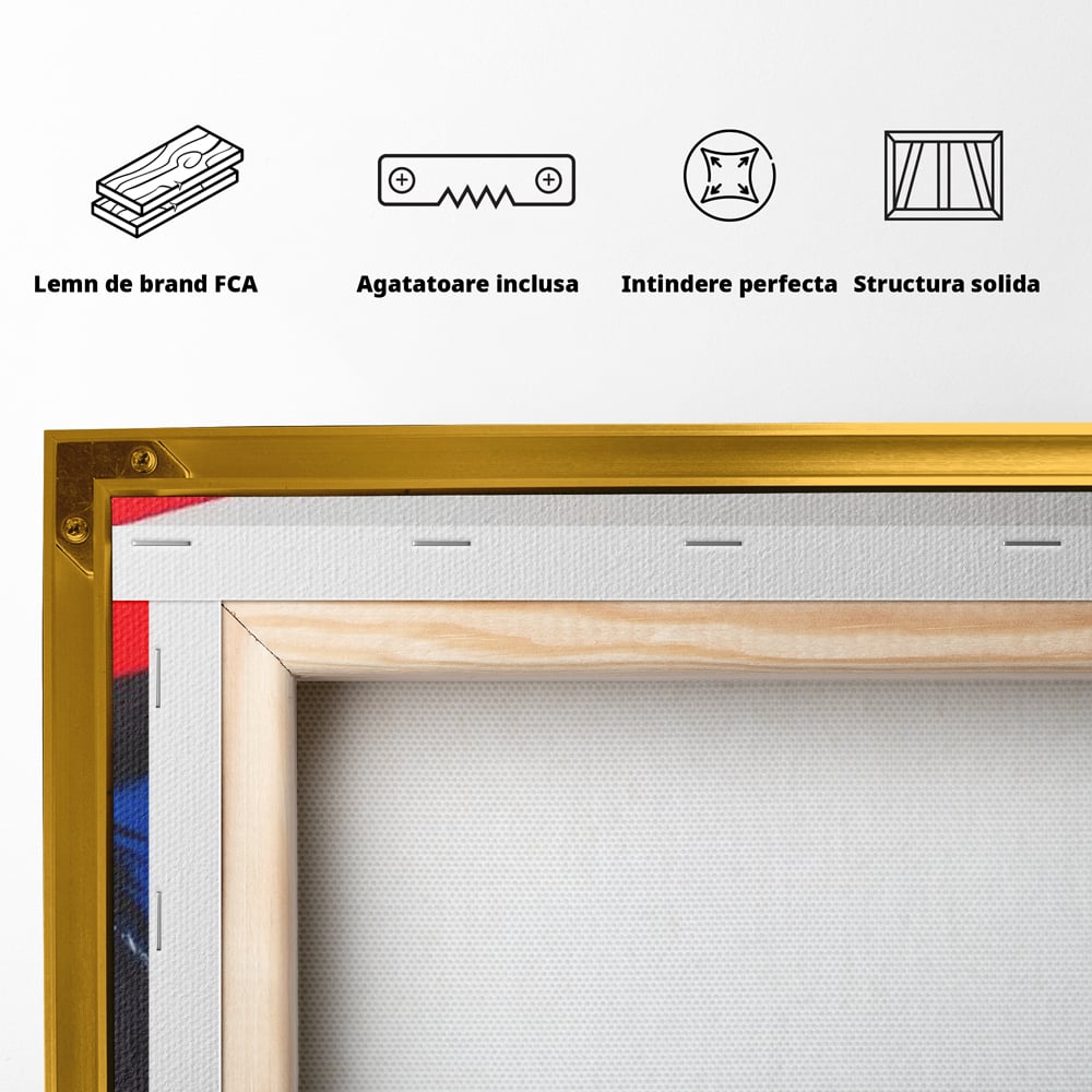 Tablou Canvas Premium, LuxCanva® M1098, Instinct Rosu, Vultur, Zbor, Ochi, Grafic, Modern, Privire, Linie, Design, Curaj, Intens, Contrast, Pasare, Birou, Living, Camera Copil