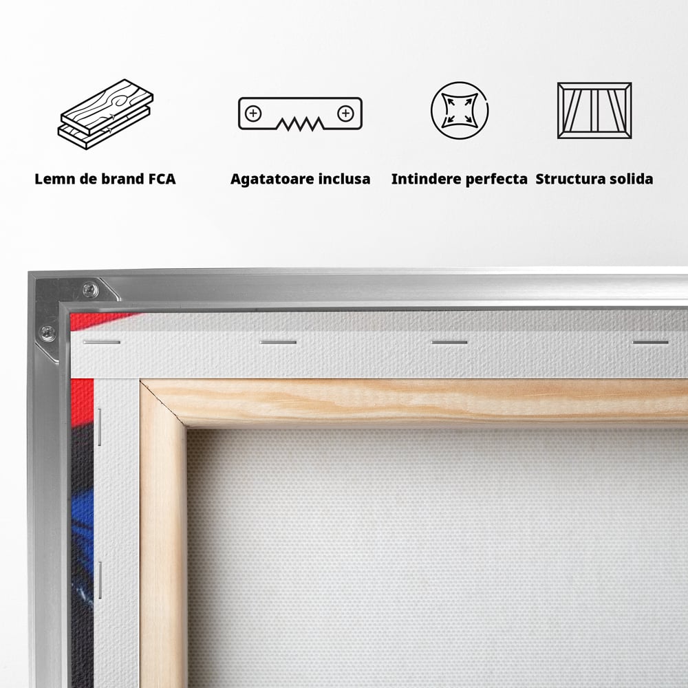 Tablou Canvas Premium, LuxCanva® M1098, Instinct Rosu, Vultur, Zbor, Ochi, Grafic, Modern, Privire, Linie, Design, Curaj, Intens, Contrast, Pasare, Birou, Living, Camera Copil