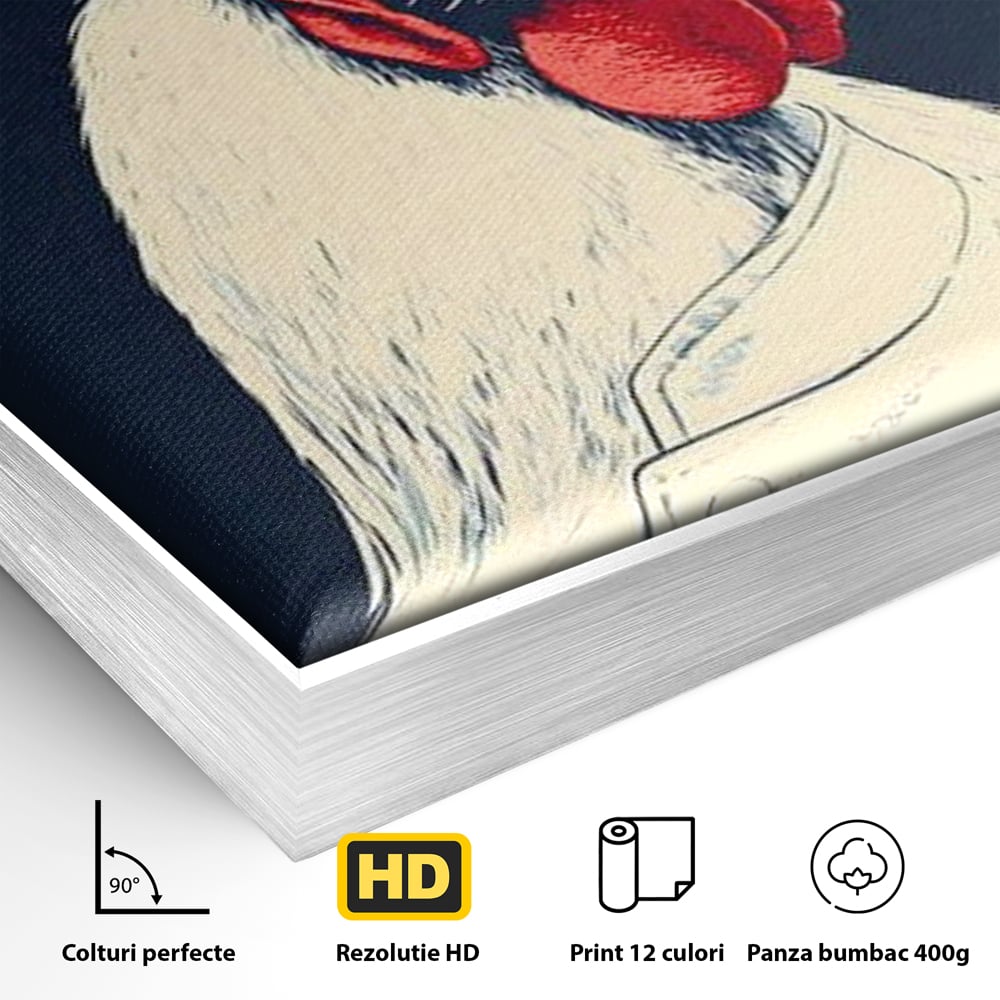 Leinwand Premium Canvas Wandkunst, LuxCanva® M1102, Schürze mit Federn, Küche, Restaurant, Gastronomie, Lustig, Witz, Henne, Karikatur, Poster, Portrait, Büro, Wohnen, Kinderzimmer