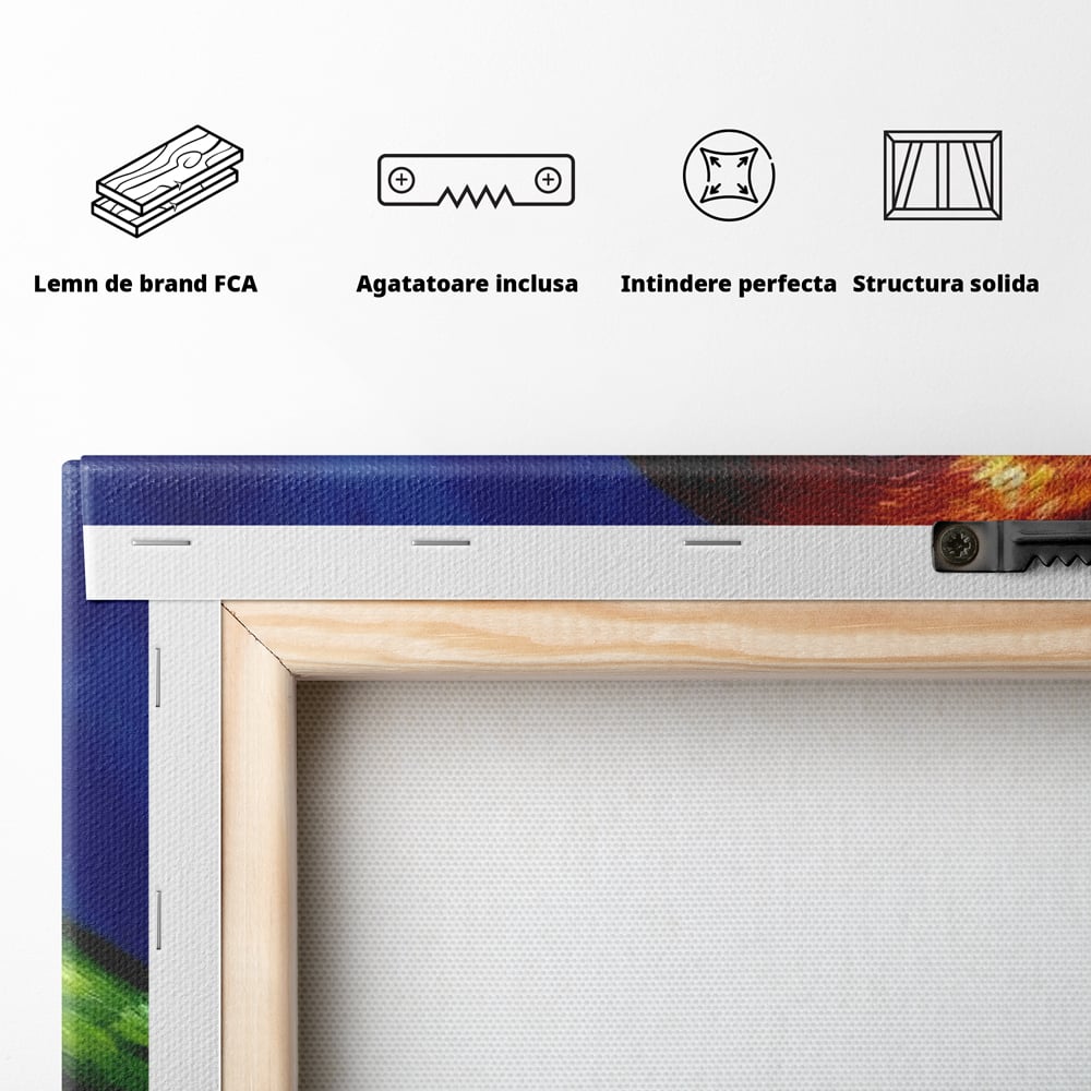 Tablou Canvas Premium, LuxCanva® M1110, Curcubeu Satinat, Papagal, Tropical, Exotic, Matase, Multicolor, Portret, Culori Vibrante, Pigment, Pictura, Birou, Living, Camera Copil