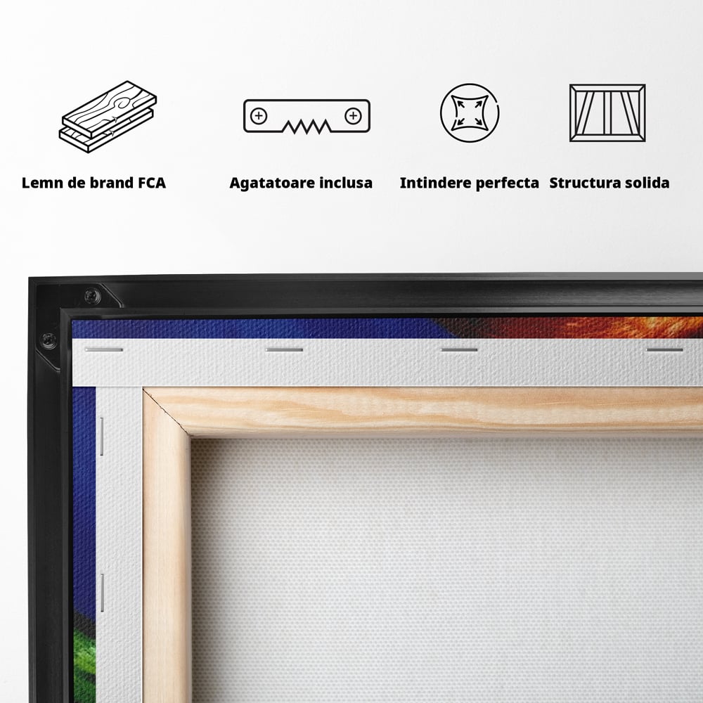 Tablou Canvas Premium, LuxCanva® M1110, Curcubeu Satinat, Papagal, Tropical, Exotic, Matase, Multicolor, Portret, Culori Vibrante, Pigment, Pictura, Birou, Living, Camera Copil