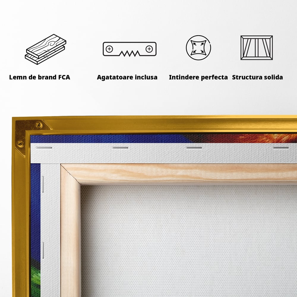 Tablou Canvas Premium, LuxCanva® M1110, Curcubeu Satinat, Papagal, Tropical, Exotic, Matase, Multicolor, Portret, Culori Vibrante, Pigment, Pictura, Birou, Living, Camera Copil