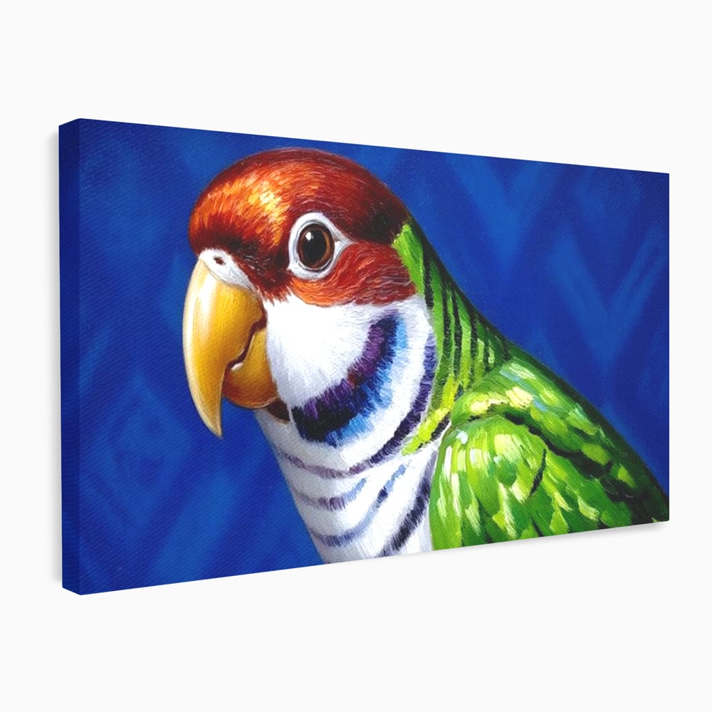 Tablou Canvas Premium, LuxCanva® M1110, Curcubeu Satinat, Papagal, Tropical, Exotic, Matase, Multicolor, Portret, Culori Vibrante, Pigment, Pictura, Birou, Living, Camera Copil
