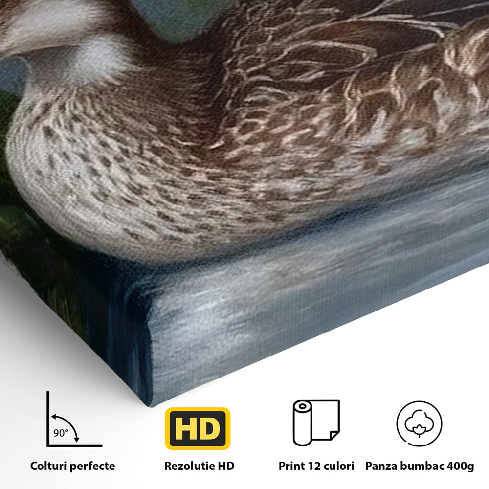 Tablou Canvas Premium, LuxCanva® M1121, Imbratisarea Crinilor, Rata, Apa, Crini, Flori, Pasare, Frunzis, Lac, Delta, Pictura, Liniste, Relaxare, Birou, Living, Camera Copil