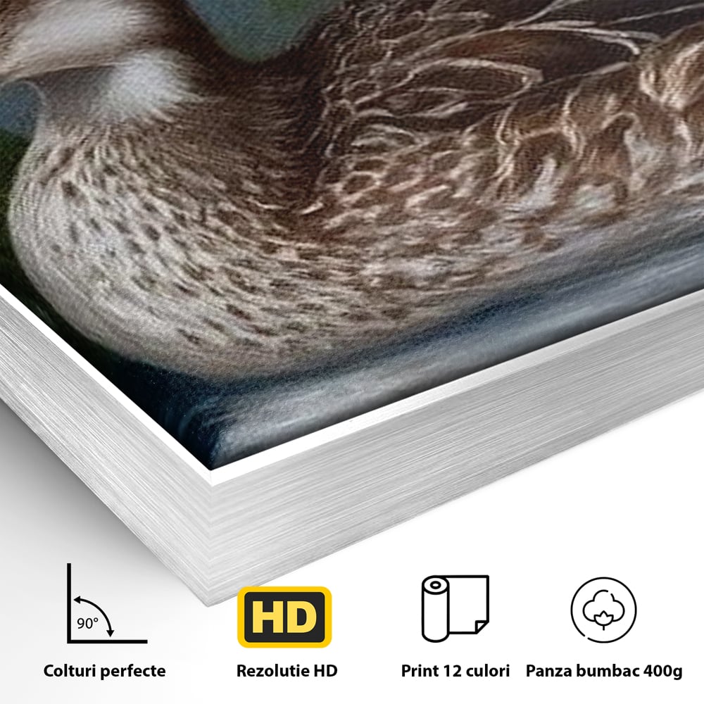 Tablou Canvas Premium, LuxCanva® M1121, Imbratisarea Crinilor, Rata, Apa, Crini, Flori, Pasare, Frunzis, Lac, Delta, Pictura, Liniste, Relaxare, Birou, Living, Camera Copil