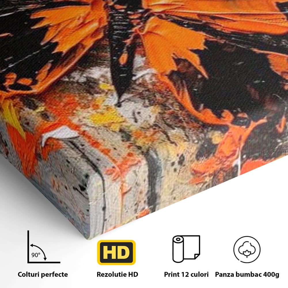 Leinwand Wandkunst Canvas Premium, LuxCanva® M1132, Farbe Metamorphose, Graffiti, Street Art, Orange, Dunkel, Anthrazit, Schmetterling, Spritzer, Spritzer, Flügel, Insekt, Modern, Büro, Wohnen, Kinderzimmer