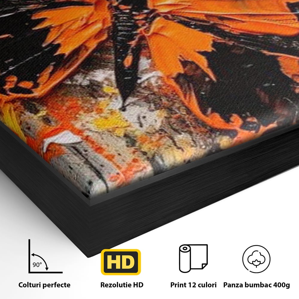 Leinwand Wandkunst Canvas Premium, LuxCanva® M1132, Farbe Metamorphose, Graffiti, Street Art, Orange, Dunkel, Anthrazit, Schmetterling, Spritzer, Spritzer, Flügel, Insekt, Modern, Büro, Wohnen, Kinderzimmer