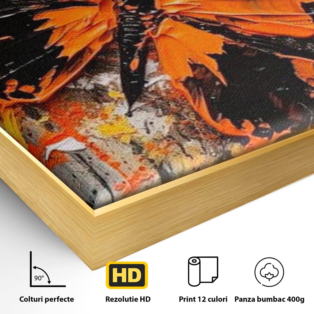 Leinwand Wandkunst Canvas Premium, LuxCanva® M1132, Farbe Metamorphose, Graffiti, Street Art, Orange, Dunkel, Anthrazit, Schmetterling, Spritzer, Spritzer, Flügel, Insekt, Modern, Büro, Wohnen, Kinderzimmer