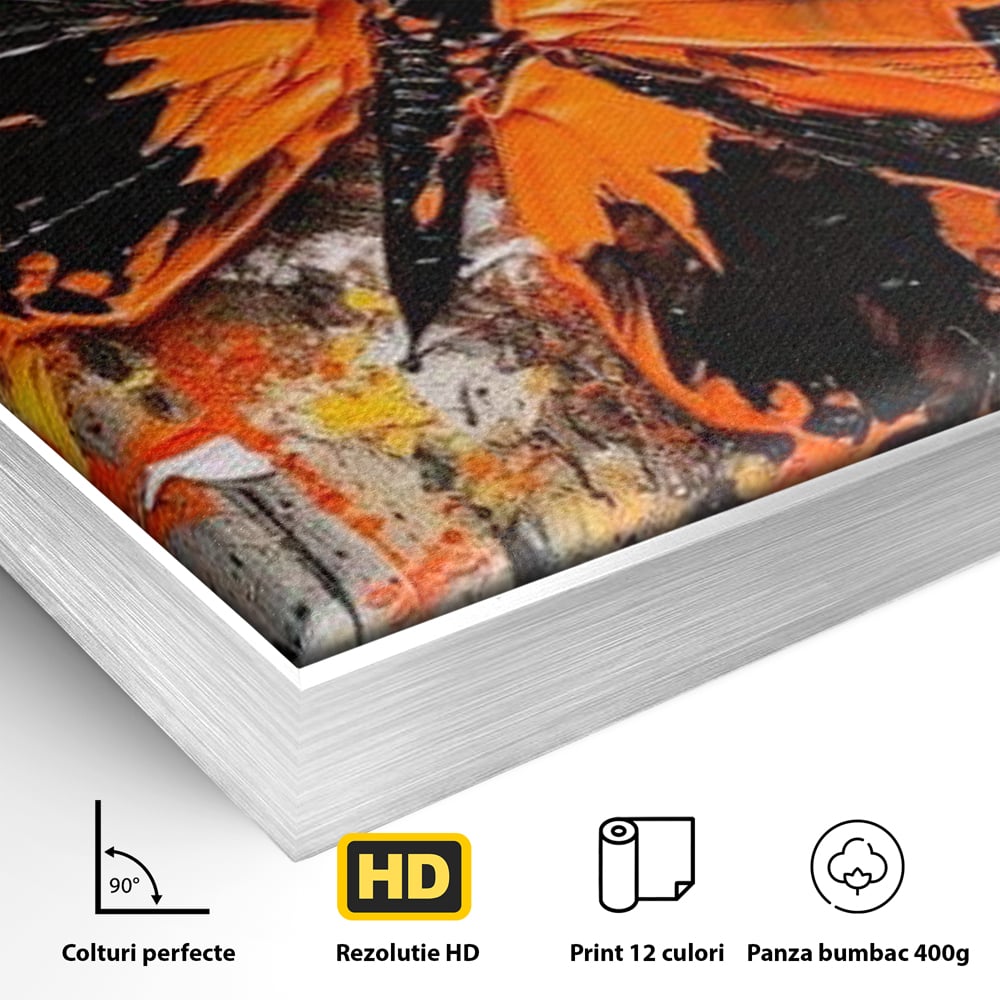 Leinwand Wandkunst Canvas Premium, LuxCanva® M1132, Farbe Metamorphose, Graffiti, Street Art, Orange, Dunkel, Anthrazit, Schmetterling, Spritzer, Spritzer, Flügel, Insekt, Modern, Büro, Wohnen, Kinderzimmer
