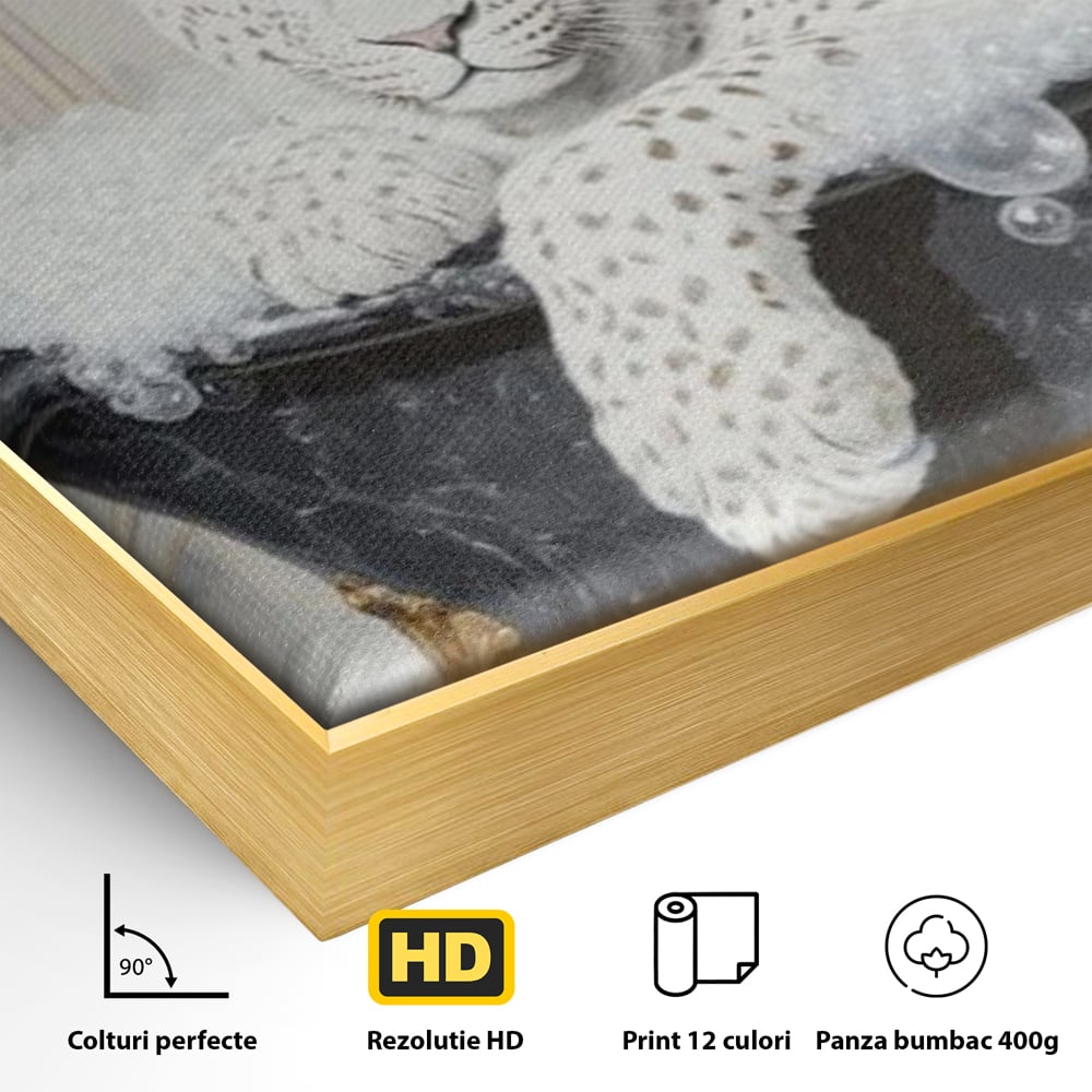 Tablou Canvas Premium, LuxCanva® M1159, Baia Regelui Alb, Portret, Leopard, Felina, Animale, Cada, Baie, Spuma, Marmura, Lux, Eleganta, Wild, Vintage, Birou, Living, Camera Copil