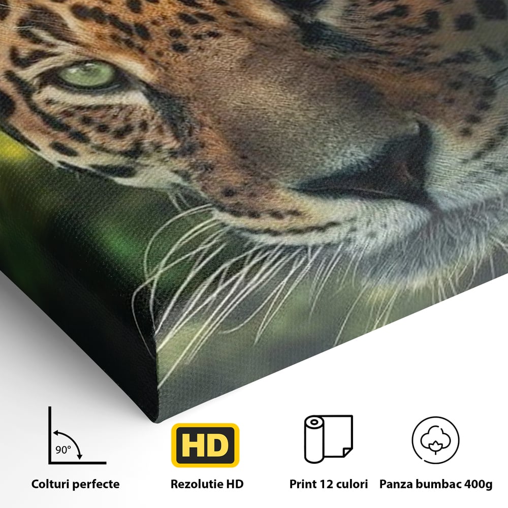Tablou Canvas Premium, LuxCanva® M1163, Felina din Umbra, Jaguar, Vanatoare, Salbaticie, Jungla, Exotic, Animal, Felina, Umbra, Natura, Camuflaj, Privire, Birou, Living, Camera Copil