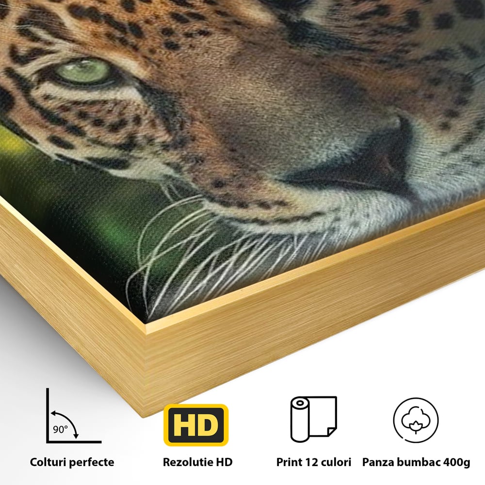 Tablou Canvas Premium, LuxCanva® M1163, Felina din Umbra, Jaguar, Vanatoare, Salbaticie, Jungla, Exotic, Animal, Felina, Umbra, Natura, Camuflaj, Privire, Birou, Living, Camera Copil
