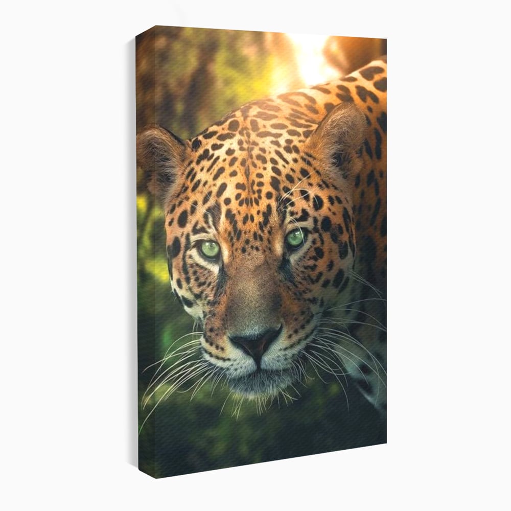 Tablou Canvas Premium, LuxCanva® M1163, Felina din Umbra, Jaguar, Vanatoare, Salbaticie, Jungla, Exotic, Animal, Felina, Umbra, Natura, Camuflaj, Privire, Birou, Living, Camera Copil