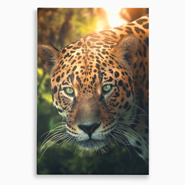 Tablou Canvas Premium, LuxCanva® M1163, Felina din Umbra, Jaguar, Vanatoare, Salbaticie, Jungla, Exotic, Animal, Felina, Umbra, Natura, Camuflaj, Privire, Birou, Living, Camera Copil