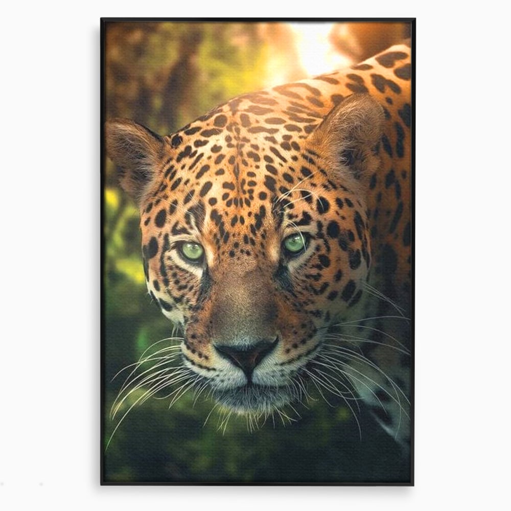 Tablou Canvas Premium, LuxCanva® M1163, Felina din Umbra, Jaguar, Vanatoare, Salbaticie, Jungla, Exotic, Animal, Felina, Umbra, Natura, Camuflaj, Privire, Birou, Living, Camera Copil