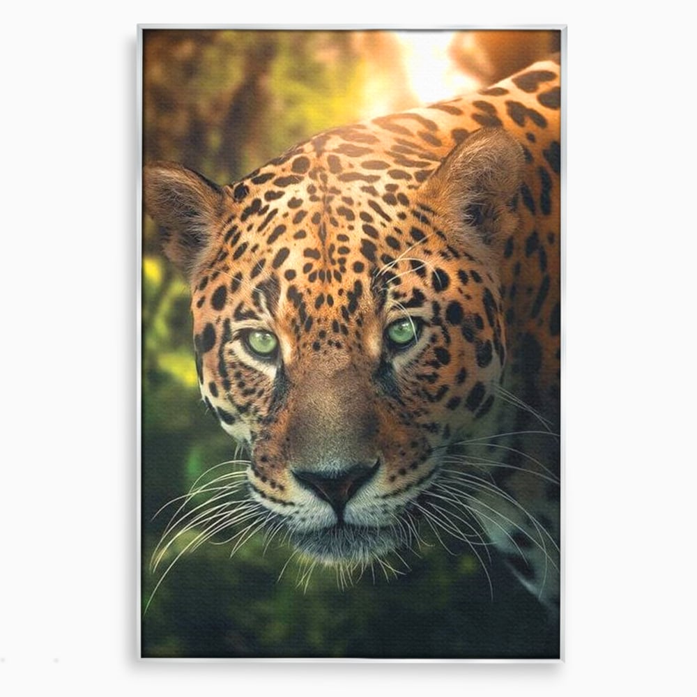 Tablou Canvas Premium, LuxCanva® M1163, Felina din Umbra, Jaguar, Vanatoare, Salbaticie, Jungla, Exotic, Animal, Felina, Umbra, Natura, Camuflaj, Privire, Birou, Living, Camera Copil