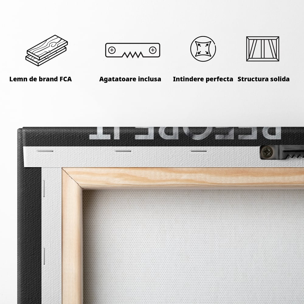 Tablou Canvas Premium, LuxCanva® M1164, Privire catre Destin, Motivational, Inspiratie, Pisica, Felina, Destin, Curaj, Viziune, Mesaj, Modern, Viitor, Animal, Birou, Living, Camera Copil