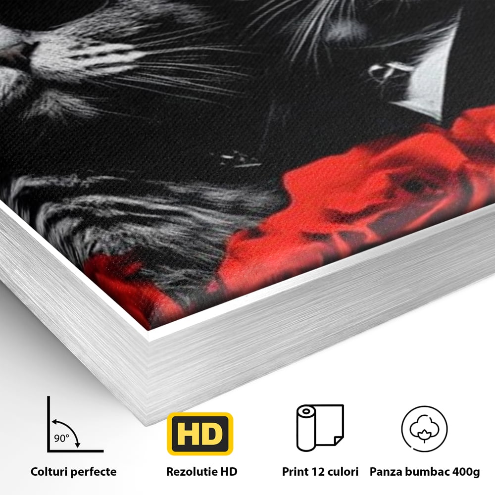 Tablou Canvas Premium, LuxCanva® M1167, Mafia Felina, Gangster, Mafie, Pisici, Feline, Trandafiri, Ochelari, Palarii, Romantic, Moda, Intunecat, Lux, Sarm, Birou, Living, Camera Copil