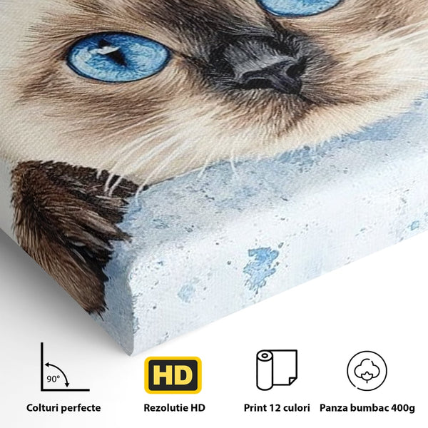 Leinwand Wandkunst Canvas Premium, LuxCanva® M1171, Little Explorer, Feline, Siam, Katze, Azure, Azure, Augen, Dragalas, Dragalas, Catnip, Katzen, Pouf, Portrait, Büro, Wohnen, Kinderzimmer