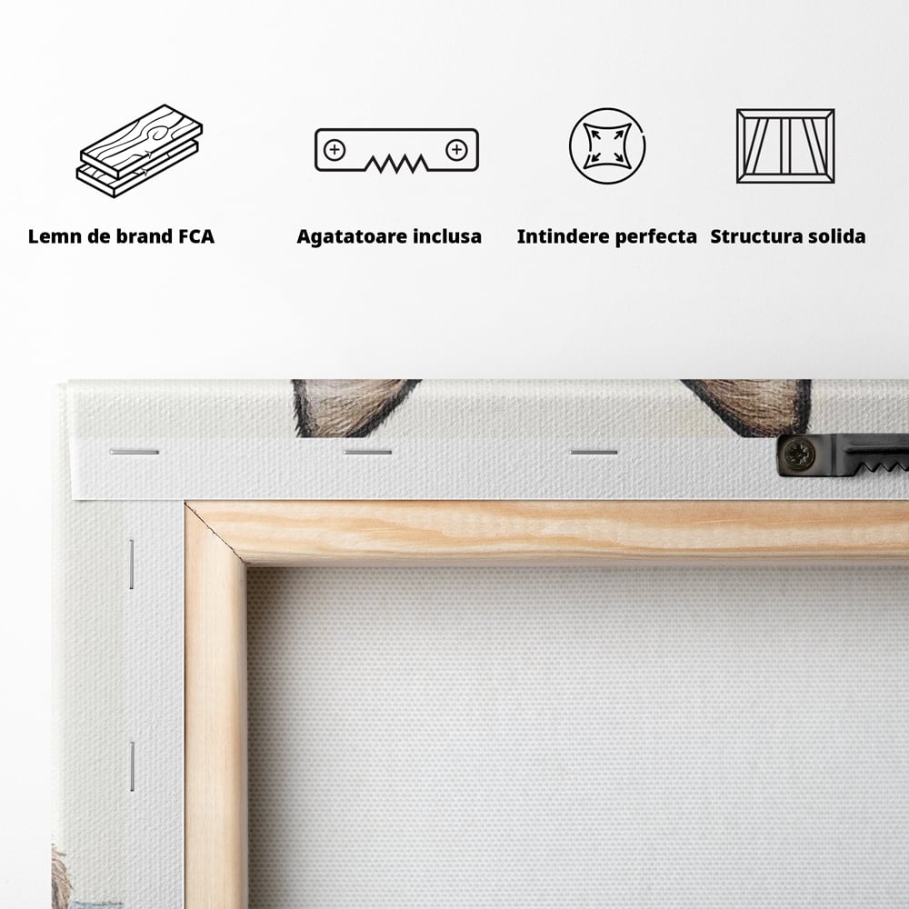 Leinwand Wandkunst Canvas Premium, LuxCanva® M1171, Little Explorer, Feline, Siam, Katze, Azure, Azure, Augen, Dragalas, Dragalas, Catnip, Katzen, Pouf, Portrait, Büro, Wohnen, Kinderzimmer