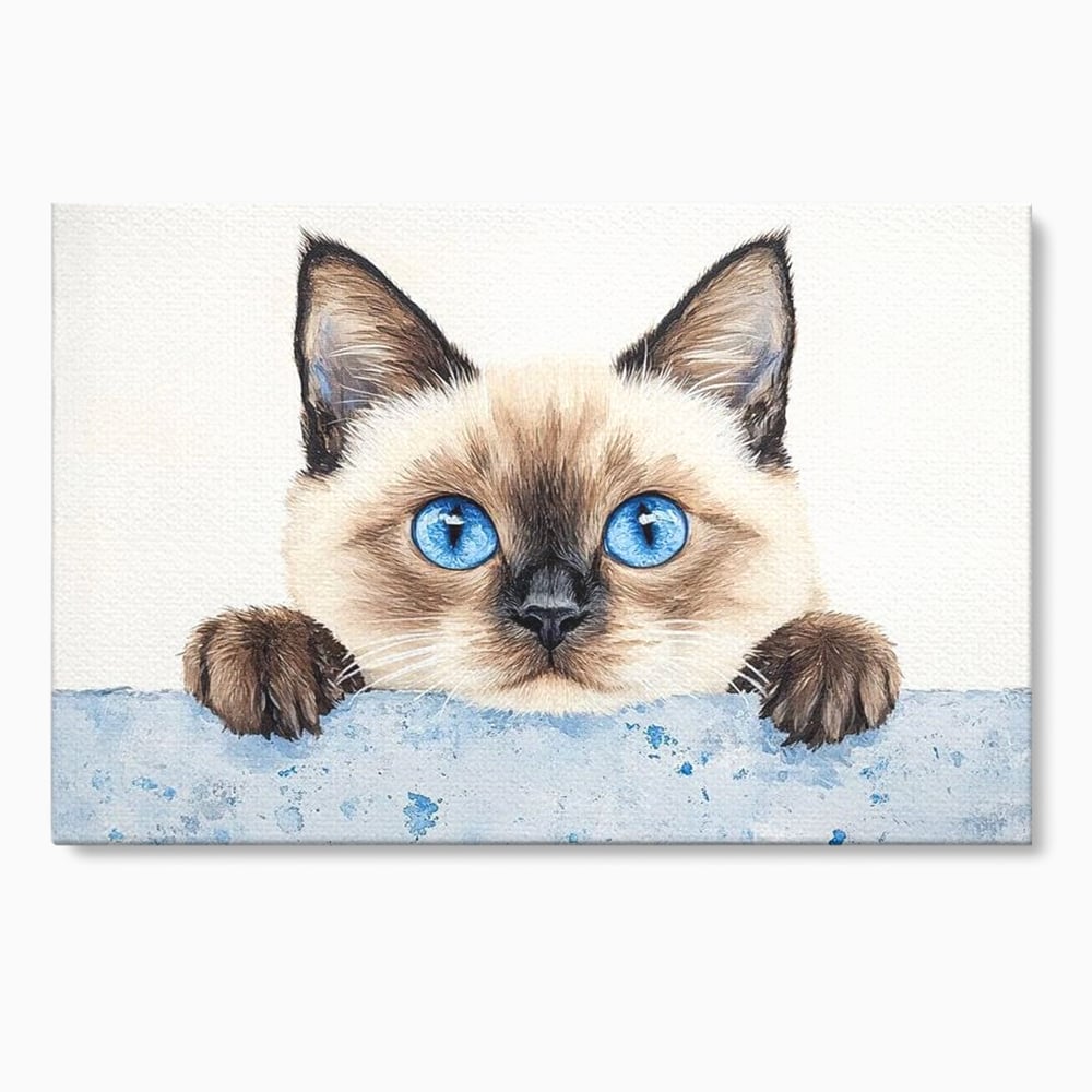 Leinwand Wandkunst Canvas Premium, LuxCanva® M1171, Little Explorer, Feline, Siam, Katze, Azure, Azure, Augen, Dragalas, Dragalas, Catnip, Katzen, Pouf, Portrait, Büro, Wohnen, Kinderzimmer