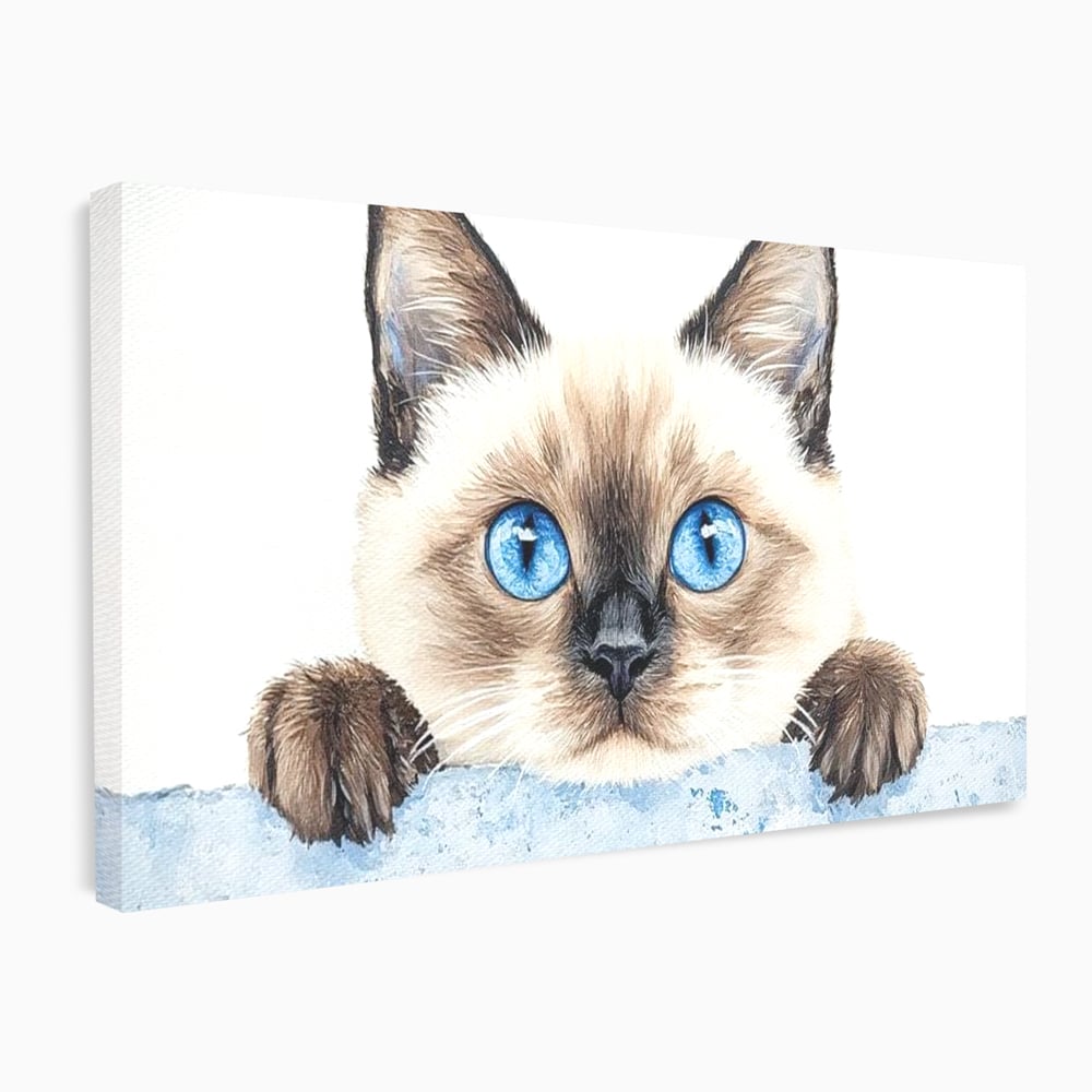 Leinwand Wandkunst Canvas Premium, LuxCanva® M1171, Little Explorer, Feline, Siam, Katze, Azure, Azure, Augen, Dragalas, Dragalas, Catnip, Katzen, Pouf, Portrait, Büro, Wohnen, Kinderzimmer