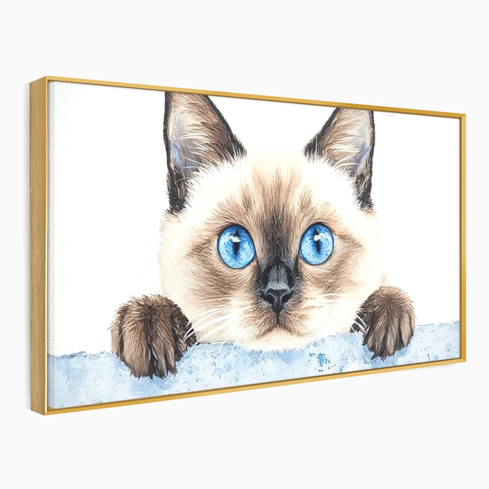 Leinwand Wandkunst Canvas Premium, LuxCanva® M1171, Little Explorer, Feline, Siam, Katze, Azure, Azure, Augen, Dragalas, Dragalas, Catnip, Katzen, Pouf, Portrait, Büro, Wohnen, Kinderzimmer