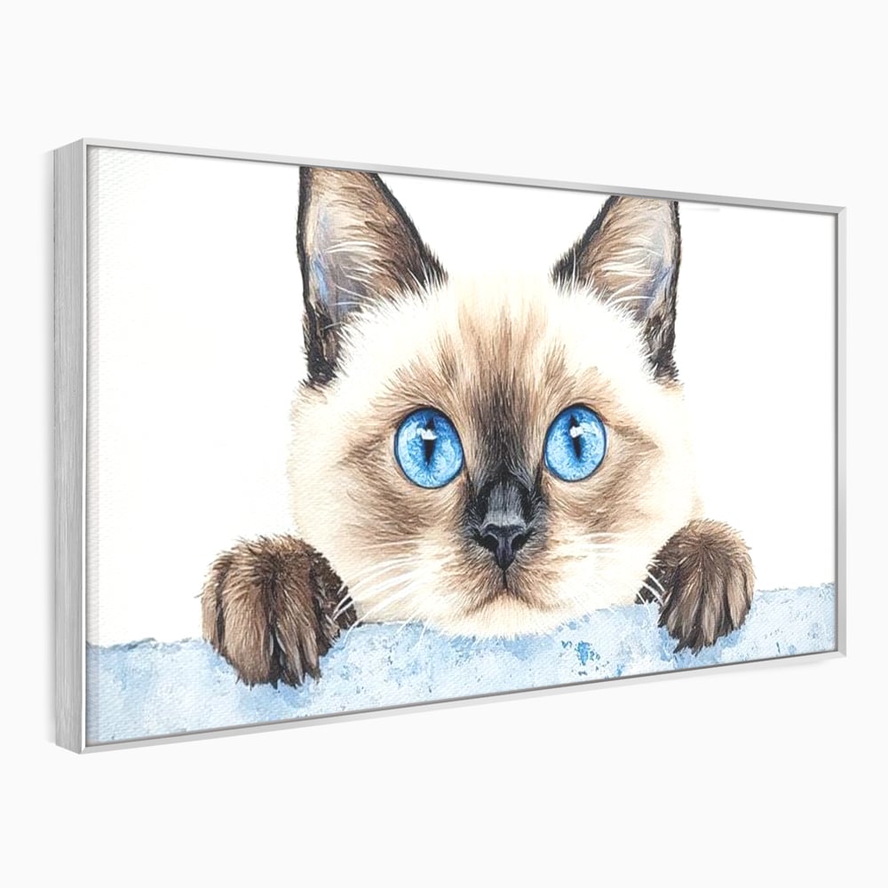 Leinwand Wandkunst Canvas Premium, LuxCanva® M1171, Little Explorer, Feline, Siam, Katze, Azure, Azure, Augen, Dragalas, Dragalas, Catnip, Katzen, Pouf, Portrait, Büro, Wohnen, Kinderzimmer