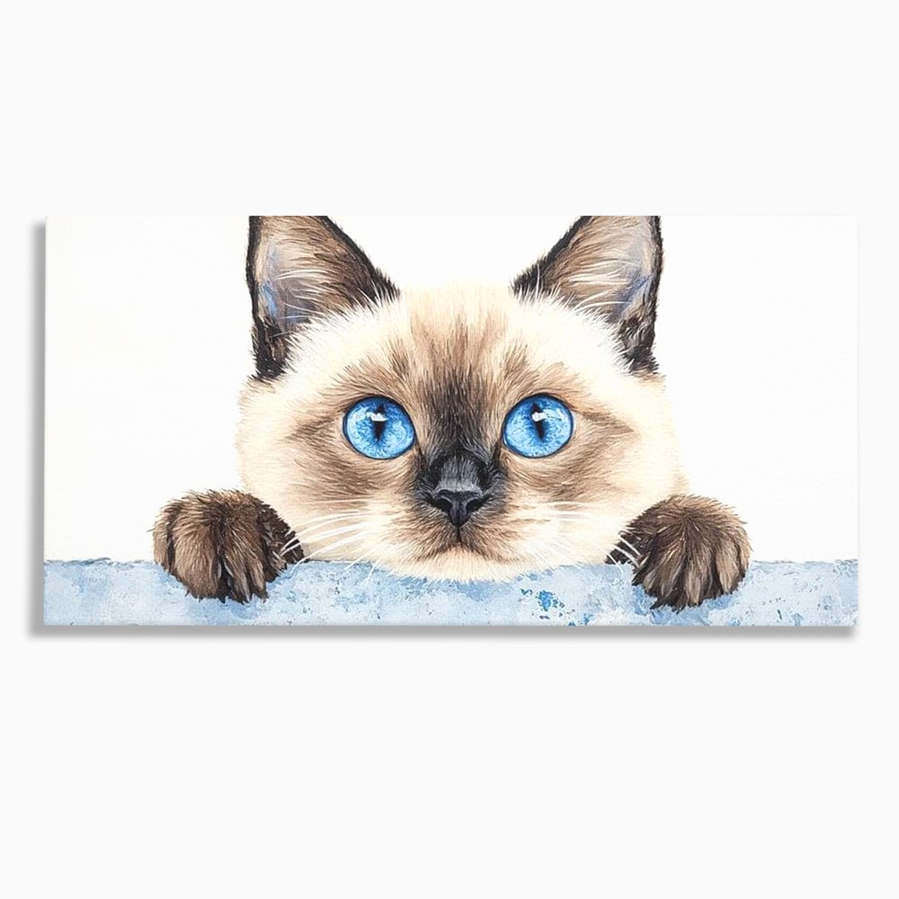 Leinwand Wandkunst Canvas Premium, LuxCanva® M1171, Little Explorer, Feline, Siam, Katze, Azure, Azure, Augen, Dragalas, Dragalas, Catnip, Katzen, Pouf, Portrait, Büro, Wohnen, Kinderzimmer