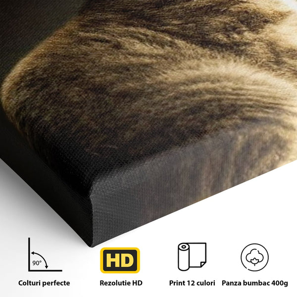 Tablou Canvas Premium, LuxCanva® M1172, Pisica si Fluturele, Fluture, Pisica, Prietenie, Natura, Felina, Gingas, Lumina, Copilarie, Pufos, Inocenta, Birou, Living, Camera Copil
