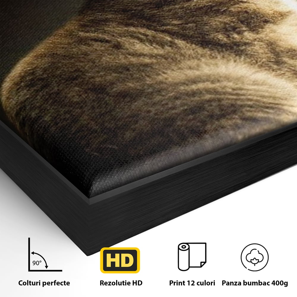 Tablou Canvas Premium, LuxCanva® M1172, Pisica si Fluturele, Fluture, Pisica, Prietenie, Natura, Felina, Gingas, Lumina, Copilarie, Pufos, Inocenta, Birou, Living, Camera Copil