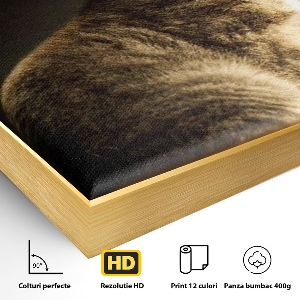 Tablou Canvas Premium, LuxCanva® M1172, Pisica si Fluturele, Fluture, Pisica, Prietenie, Natura, Felina, Gingas, Lumina, Copilarie, Pufos, Inocenta, Birou, Living, Camera Copil