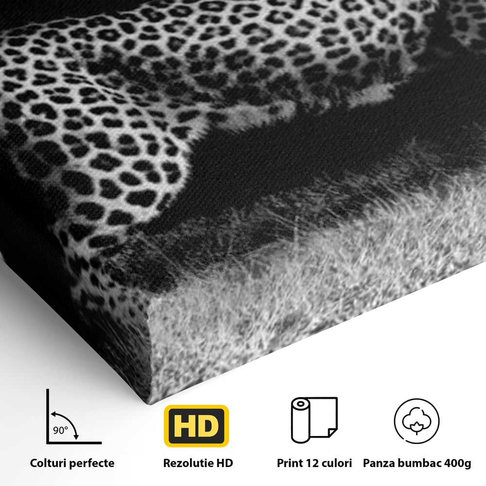 Tablou Canvas Premium, LuxCanva® M1175, Regele Nevazut, Jaguar, Nocturn, Felina, Vanatoare, Animal, Salbaticie, Jungla, Alb si Negru, Captura, Putere, Birou, Living, Camera Copil