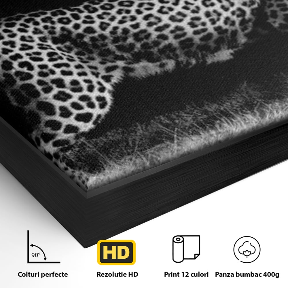 Tablou Canvas Premium, LuxCanva® M1175, Regele Nevazut, Jaguar, Nocturn, Felina, Vanatoare, Animal, Salbaticie, Jungla, Alb si Negru, Captura, Putere, Birou, Living, Camera Copil